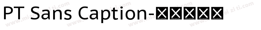 PT Sans Caption字体转换